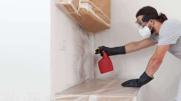 Professional Mold Removal technician working in Williamsburg, MI